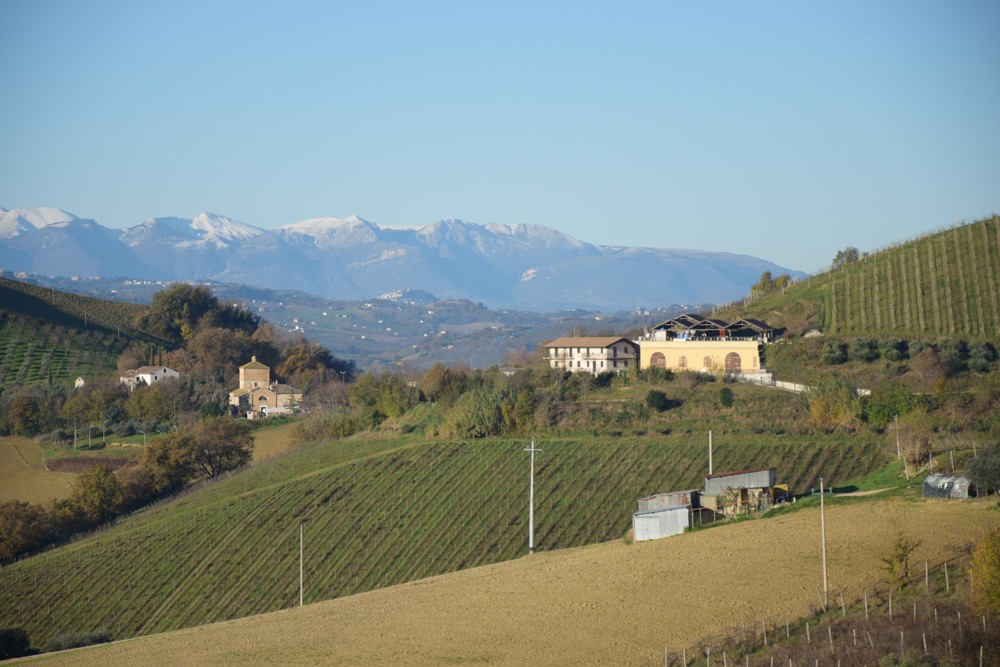 Image of イタリア中央部の有益エコロジックワイナリー