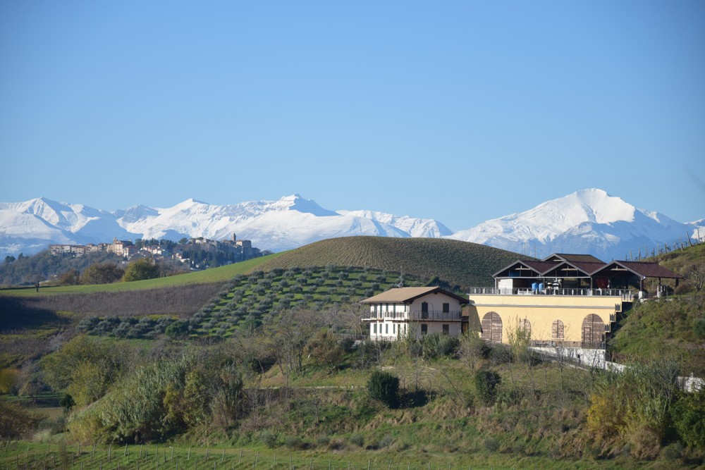 Image of 位於意大利中部的獲利豐厚的生態釀酒廠