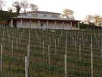 Image of Weingut und Weinbaugebiet in der schönen la Marche Region