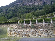 Image of Vigneti e Villa nella Piedmonte