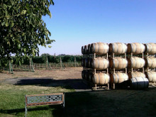 Image of Oregon Estate Winery & Vineyard