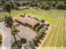 Image of Napa Valley Vineyard with Winery Permit