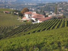 Image of Alba – 16.6 Acres Vineyard Winery Villa