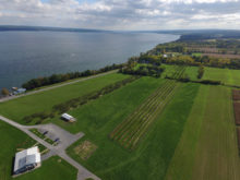 Image of Finger Lakes Vineyard, Winery, and Inn